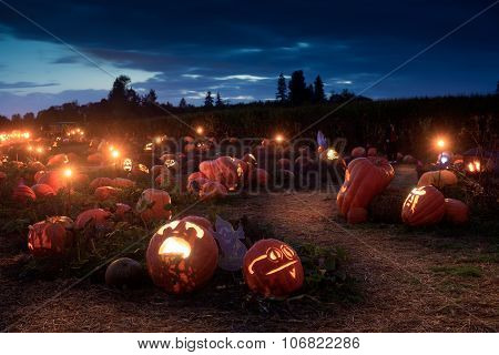Pumpkin Path