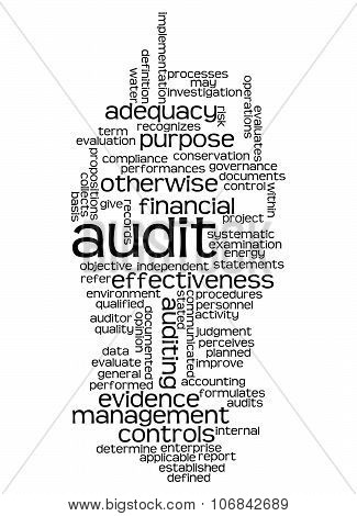 Word Cloud Of Audit And Its Related Words