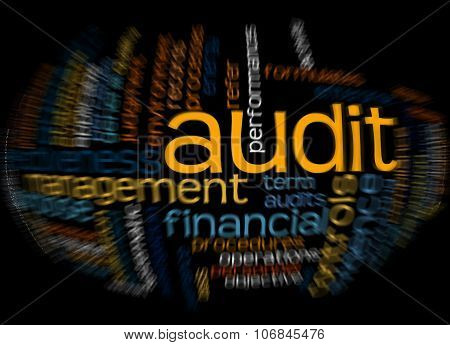 Word Cloud Of Audit And Its Related Words