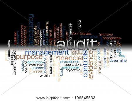 Word Cloud Of Audit And Its Related Words