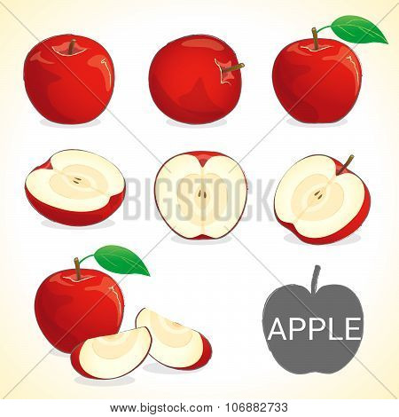 Set Of Apple Fruit In Various Styles Vector Format
