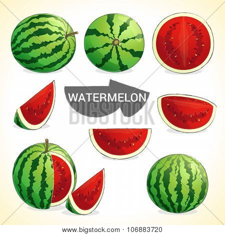 set of watermelon fruit in vector and various styles for your design