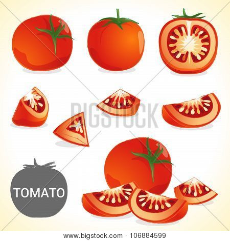 Set of tomato in vector and various style