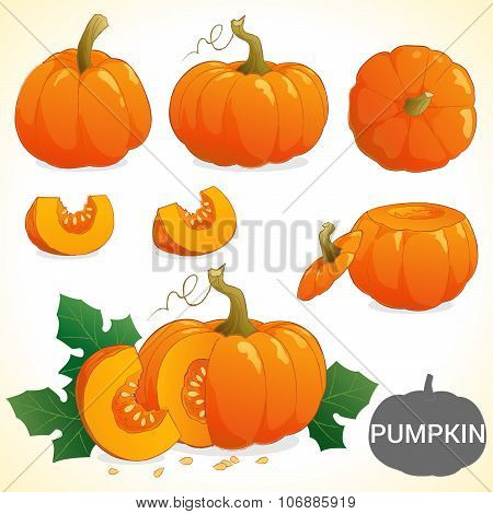 Set Of Pumpkin Patch In Various Styles Vector Format