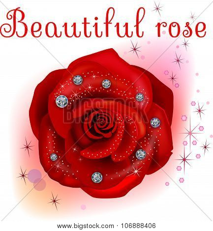 Red macro rose with diamonds