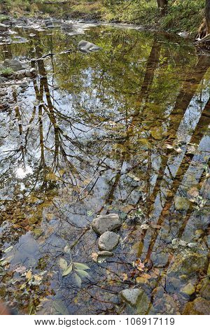 Reflection On River