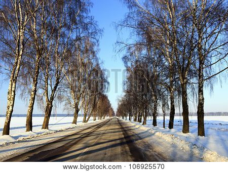 winter road  . winter.