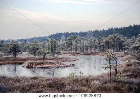 Kemeri National Park