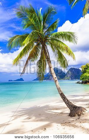 tropical paradise beach,Palawan, Philippines