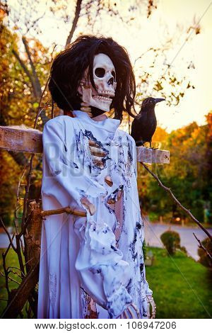 Decorations for Halloween skeleton