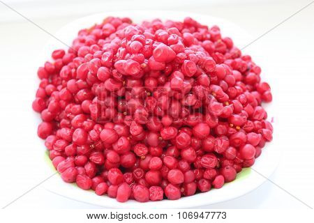 Red Schizandra Isolated