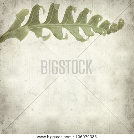 Textured Old Paper Background