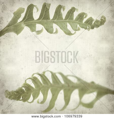 Textured Old Paper Background