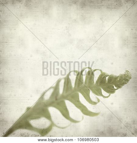 Textured Old Paper Background