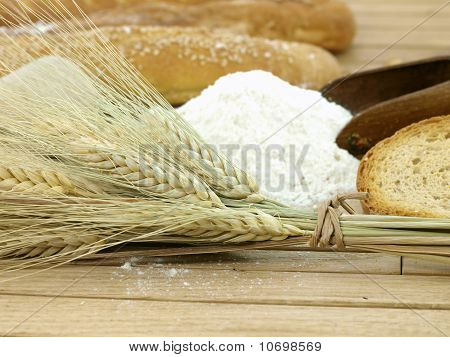 ข้าวสาลีและแป้ง