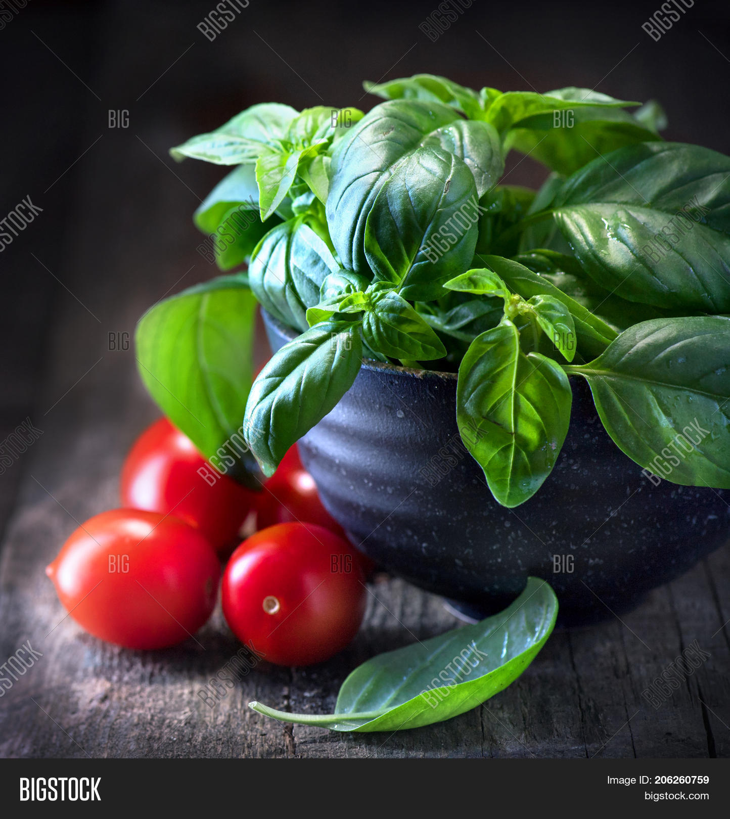 Basil Tomatoes On Image Photo Free Trial Bigstock