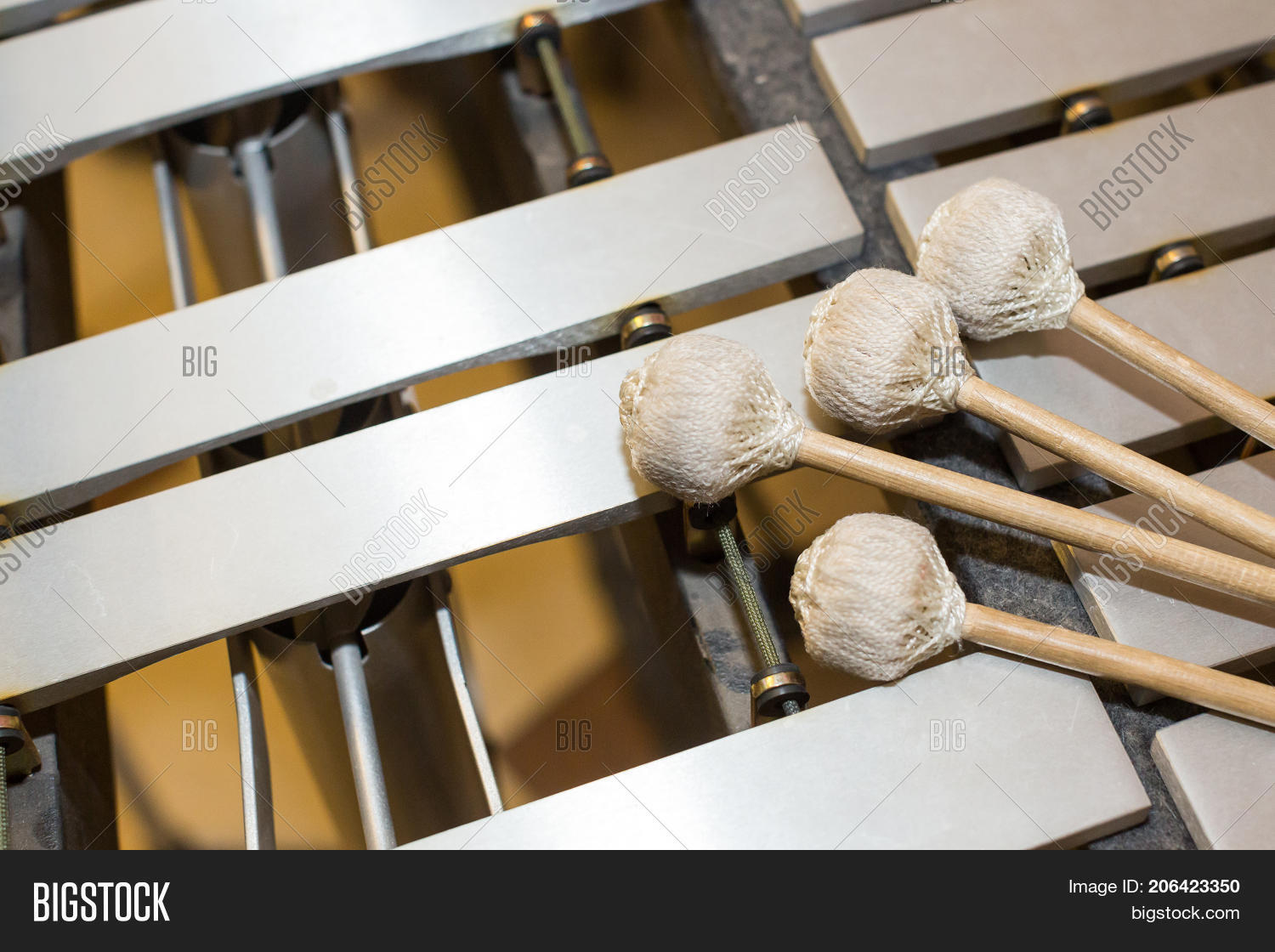 Xylophone, Music Image & Photo (Free Trial) Bigstock