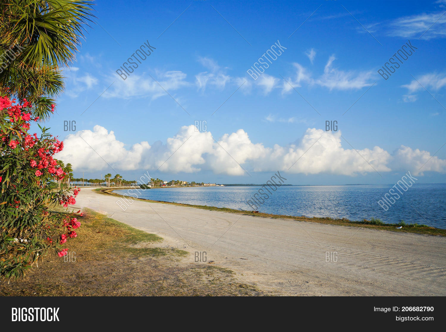 Dunedin Causeway, Image & Photo (Free Trial) Bigstock