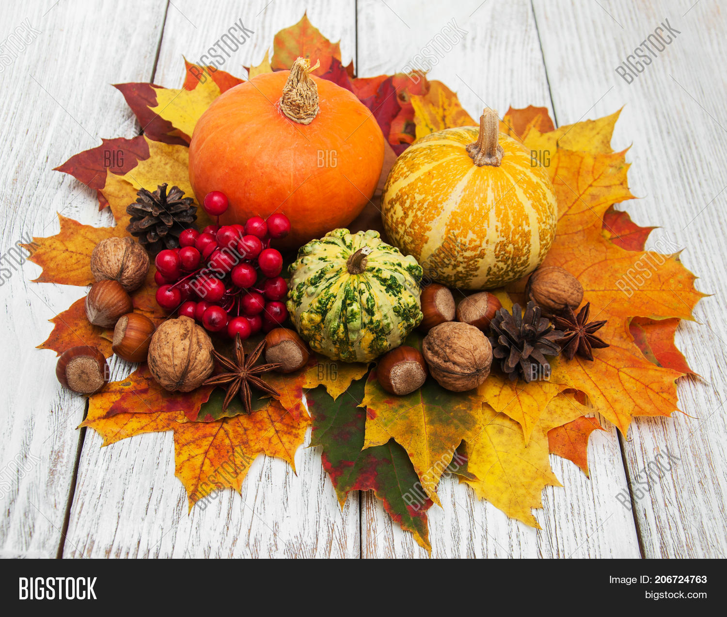 Pumpkins Leaves Image & Photo (Free Trial) | Bigstock