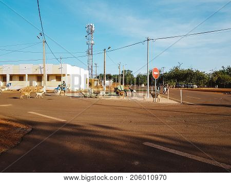BAMAKO MALI - DEC 3 2016: Generic poor street of the Bamako man commuting on the motorcycle near the goats