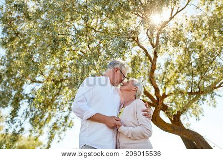 old age, love and people concept - happy senior couple nuzzling at summer park