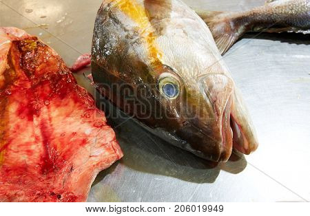 Amberjack fish head fillet process in stainless steel kitchen