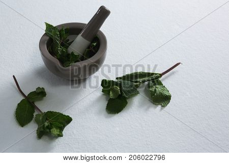 Holy basil in mortar pestle on white background