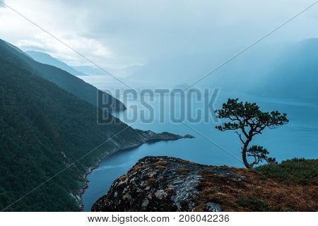Misty morning on Tingvollfjorden flord