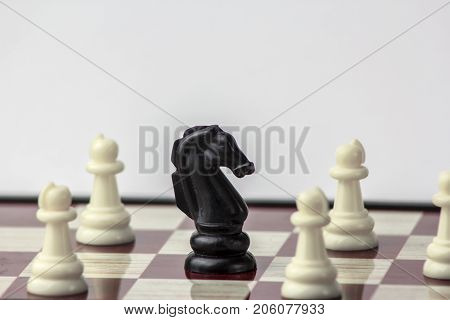 chess black horse surrounded by white pawns. concept of struggle. Isolated on white background.