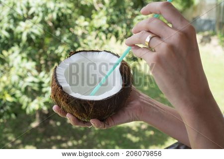 Closeup woman's hand holding coconut with green starw isolated over blurred green tropical garden background