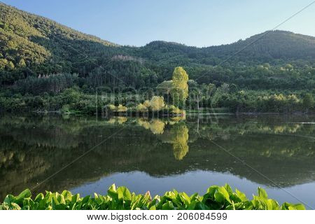 trees reflection on the quiet water of Iskar River, Bulgaria