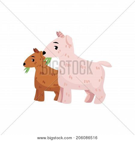 vector flat cartoon countryside farm rural animals scene. White goats with goatling grazing green grass. Isolated illustration on a white background.