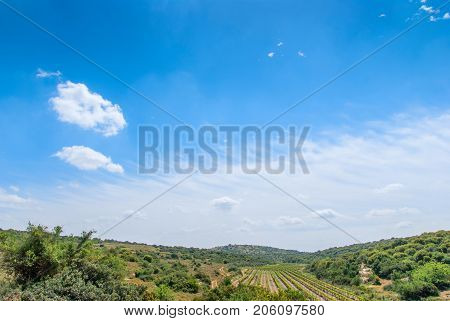 View on biblical landscape, Judean Hills near Beit Shemesh. Israel