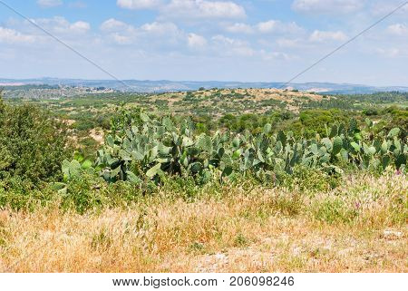 View on biblical landscape, Judean Hills near Beit Shemesh. Israel