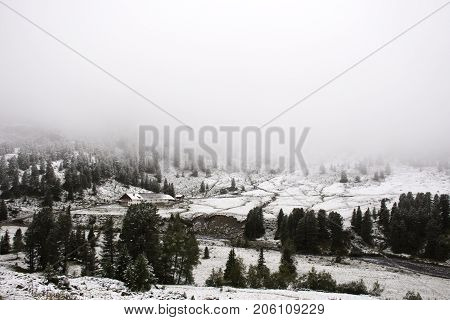 View Landscape Snow Snowing Covered On Alpine Tree At Top Of Mountain In Kaunergrat Nature Park