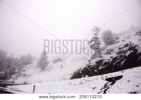 View Landscape Snow Snowing Covered On Alpine Tree At Top Of Mountain