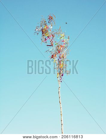 Looking up at may pole. Retro photo filter. Symbolic object.