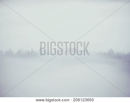 View Into Misty Valley. High Trees And Rocky Peaks Increased From Thick Fog.  The First Sun Rays