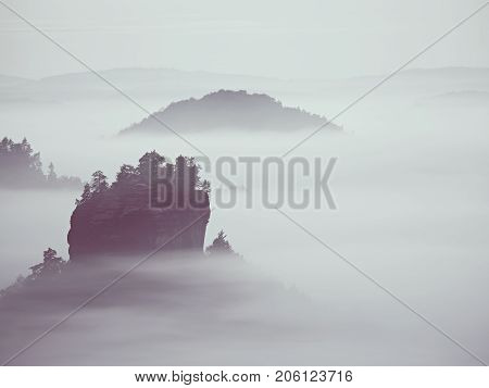 View Into Misty Valley. High Trees And Rocky Peaks Increased From Thick Fog.  The First Sun Rays