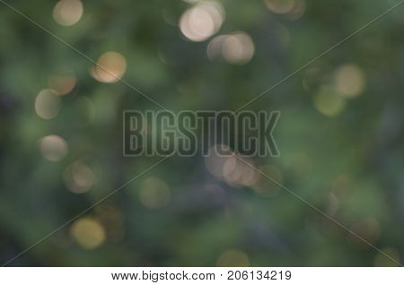 High quality green and gold bokeh texture