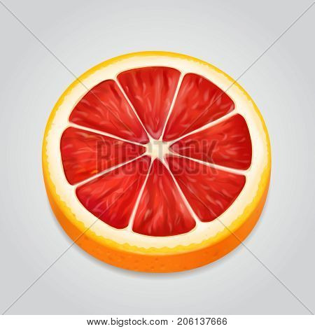 Grapefruit fruit slice realistic 3d illustration Vector.