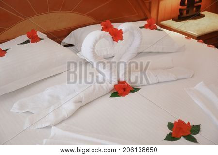 Towel swans and flowers on bed in hotel room