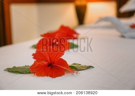 Beautiful flowers on bed in hotel room