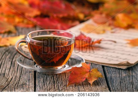 Heap Of Falll Maple Foliage On Wooden Table