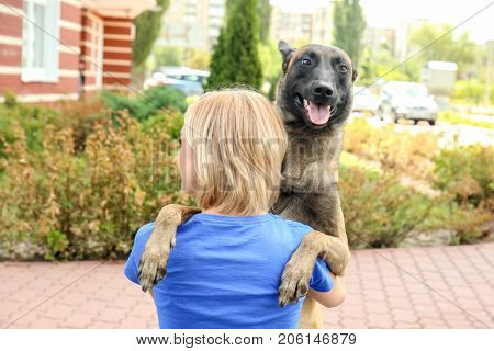 Female volunteer with homeless dog outdoors. Concept of volunteering and animal shelters