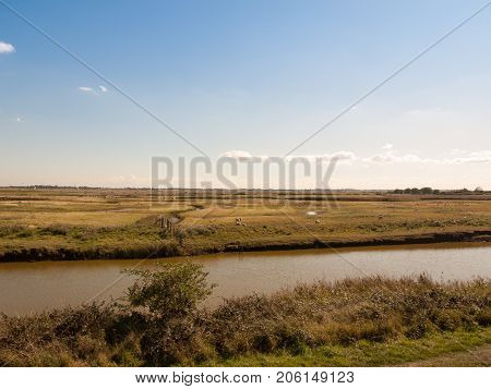 River Stream Scene Sheep And Lamb Across The Way In Nature Reserve Tollesbury Maldon