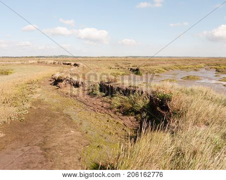 Landscape Scene Marshland Outside No People Walkway Scene