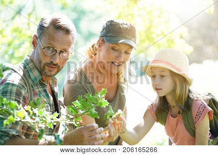 Family on rambling day looking at forest plants and trees