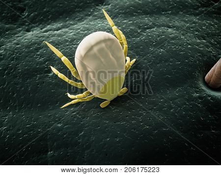 medically accurate 3d rendering of a tick