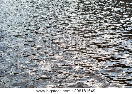 Light ripples on the water's river surface.